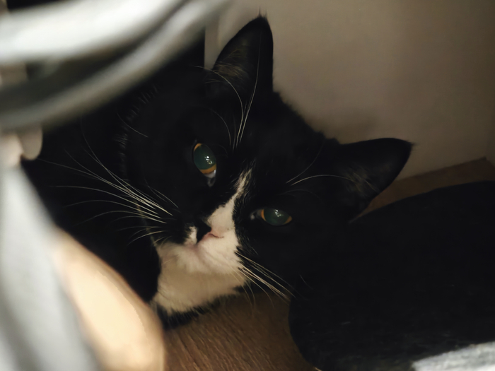 Кто меня разбудил?