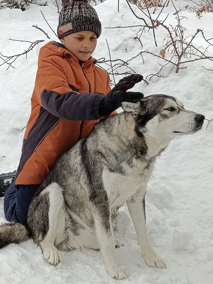 ���� �����