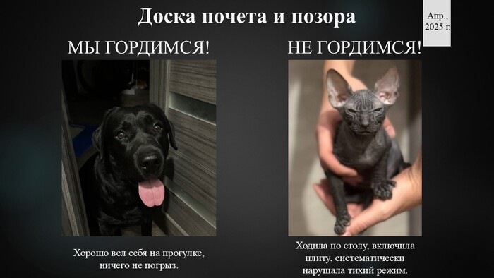 Ответ на пост «Пусть все знают "героев"»