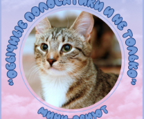 ����-����� 