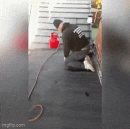   , , , 