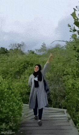     , , , 