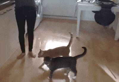   , , , 