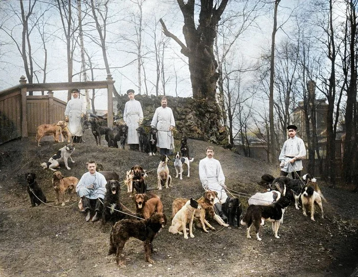 Подборка интересных и необычных фотографий Российской Империи. 20 раскрашенных фотографий. Часть XII Историческое фото, Старое фото, 20 век, 19 век, Фотография, Российская империя, История России, Колоризация, Длиннопост