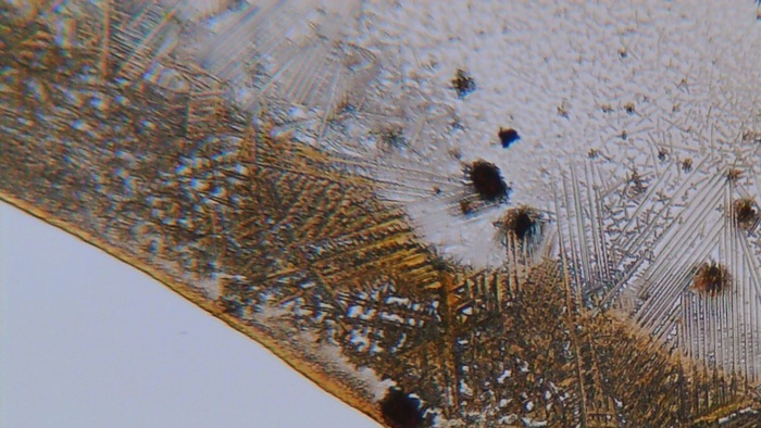 Увеличение х200, нижняя подсветка