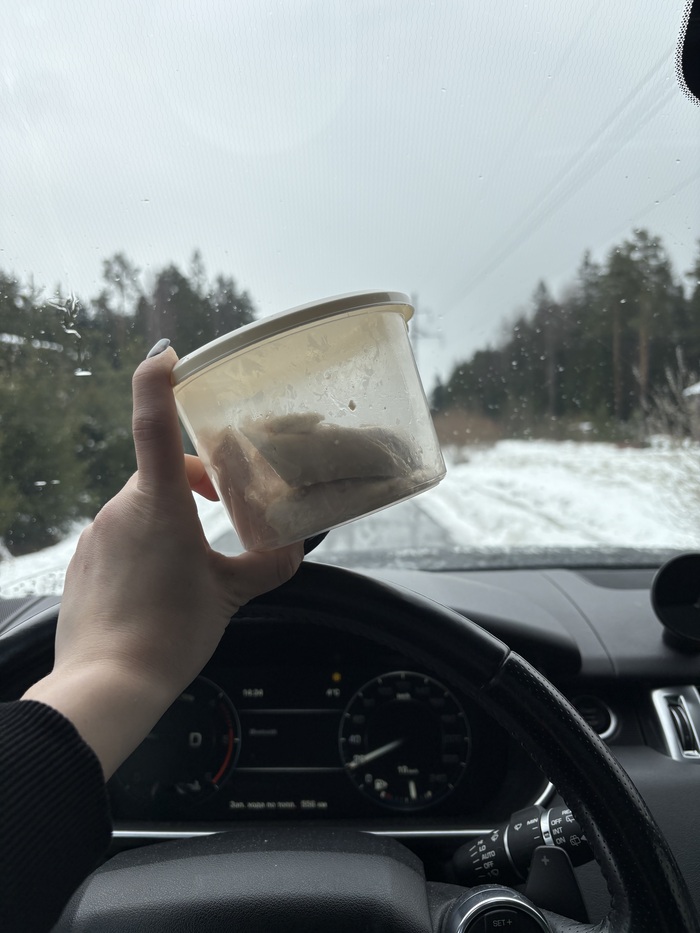 Доставка горячего обеда.