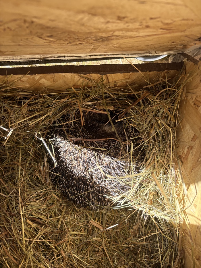 Нэнси вообще спит