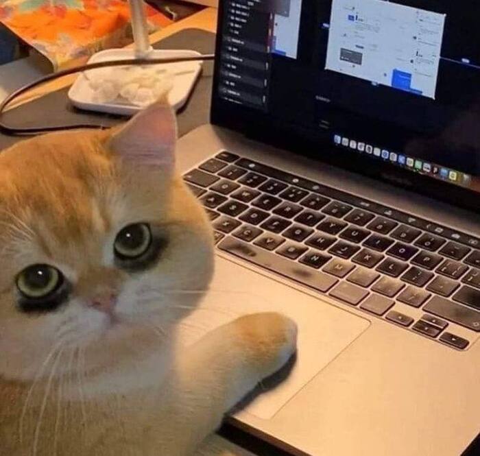 Что я узнал за тридцать три дня и двадцать лет на сайте знакомств, или как жить дальше если вам за 40