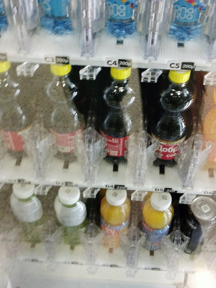 ���� �������