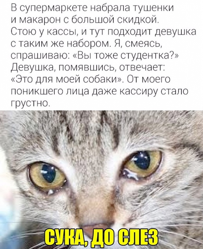     ,  , , , , , , , 