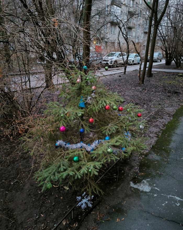 Хочу благоустроить газон у дома