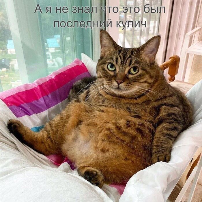 ... ,   , , ,  , 
