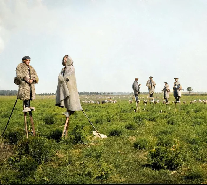 Уникальные исторические кадры, которые перенесут вас в прошлое. 20 раскрашенных фотографий из ХIX века. Часть VI Историческое фото, Старое фото, Фотография, 19 век, Колоризация, Длиннопост