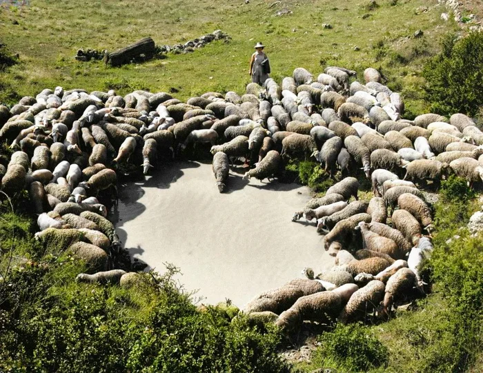 Уникальные исторические кадры, которые перенесут вас в прошлое. 20 раскрашенных фотографий из ХIX века. Часть VI Историческое фото, Старое фото, Фотография, 19 век, Колоризация, Длиннопост