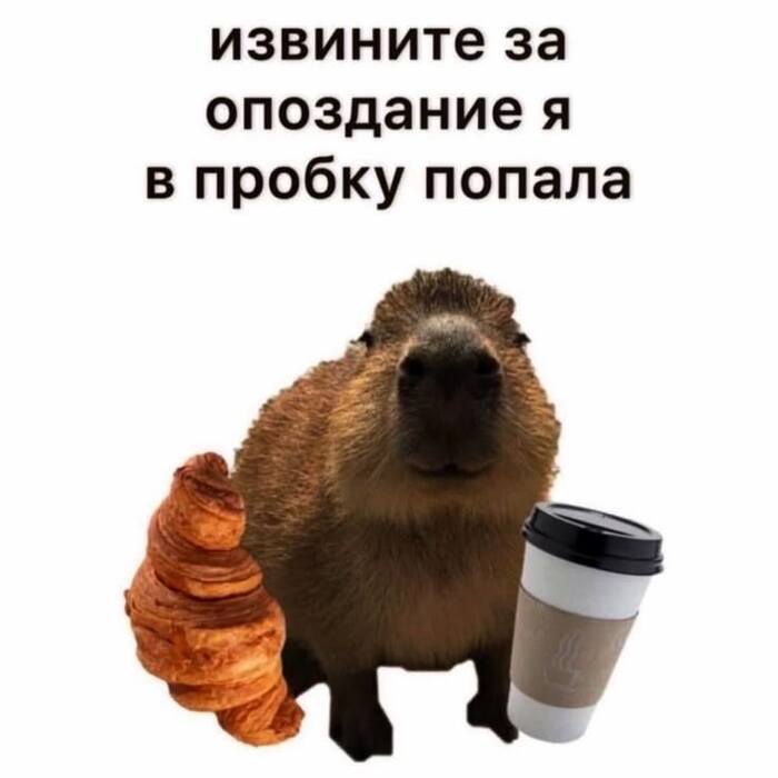   ,   , , , 
