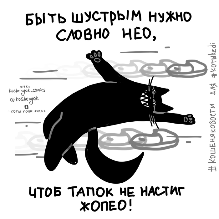 - ,  , , ,  (),  
