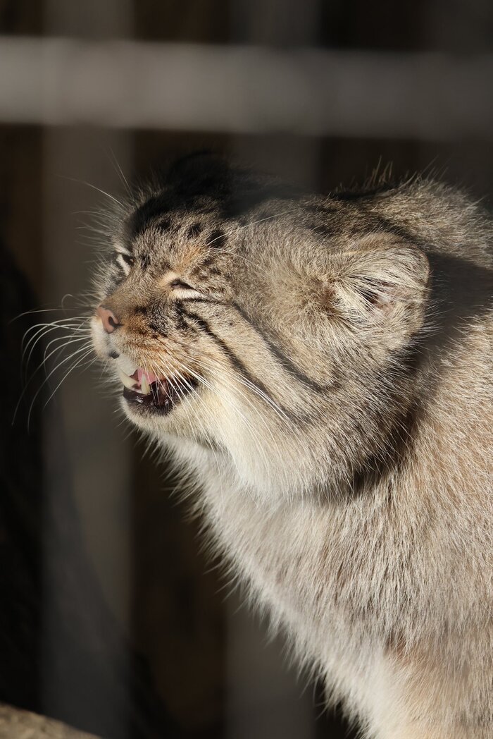  !  , ,  ,  , ,  