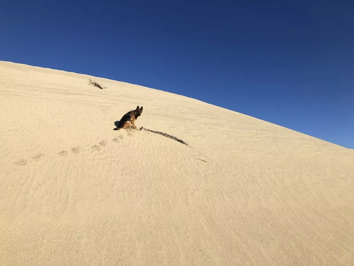 Туристы Стеллу обожают