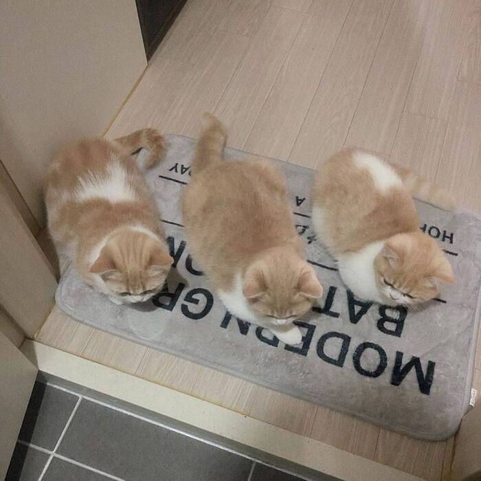   , ,  , , , 