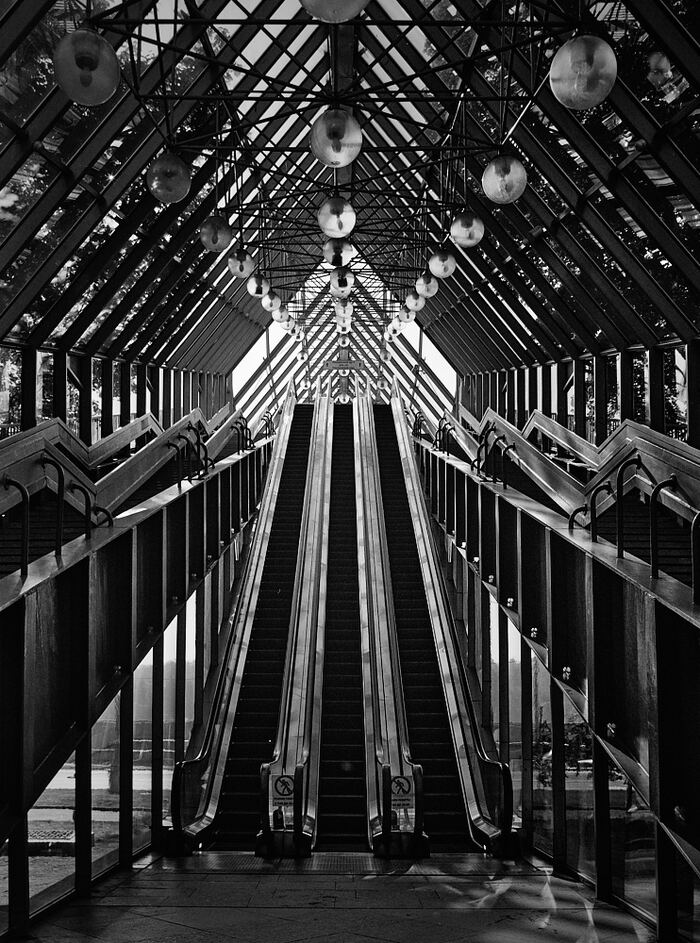 С камерой можно гулять недалеко от дома.