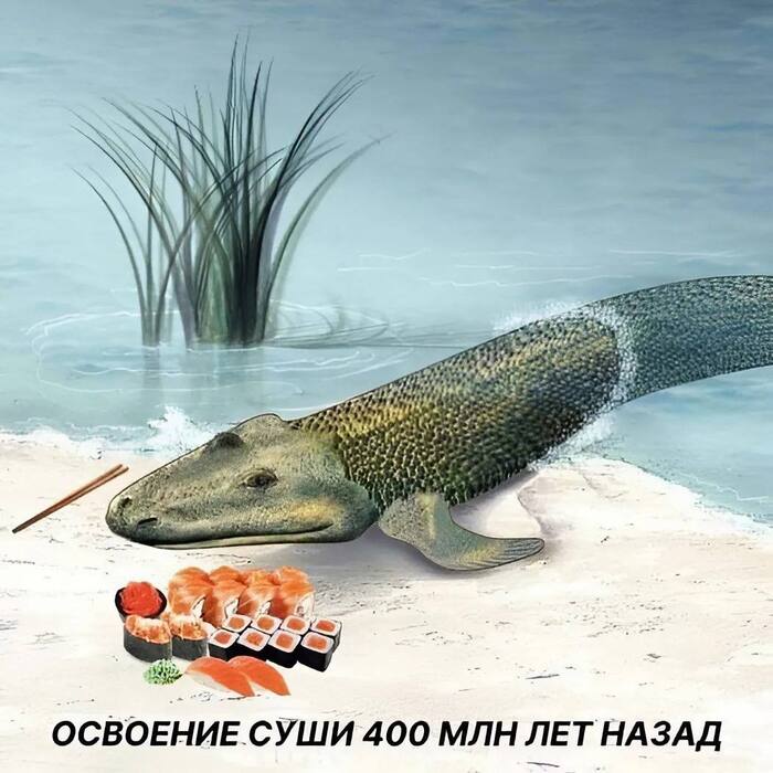     ,     ,   , , ,  