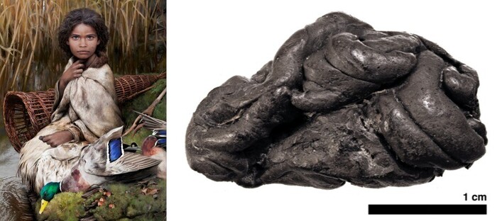 Слева восстановленный геном того самого персонажа жевавшего субстанцию справа. При чем, согласно результатам исследования, березовый деготь (а это именно он на фото) оказался суперкачественным материалом для сохранения ДНК, слюны тобишь. 