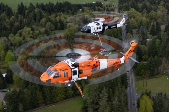 UH-60 Nemo