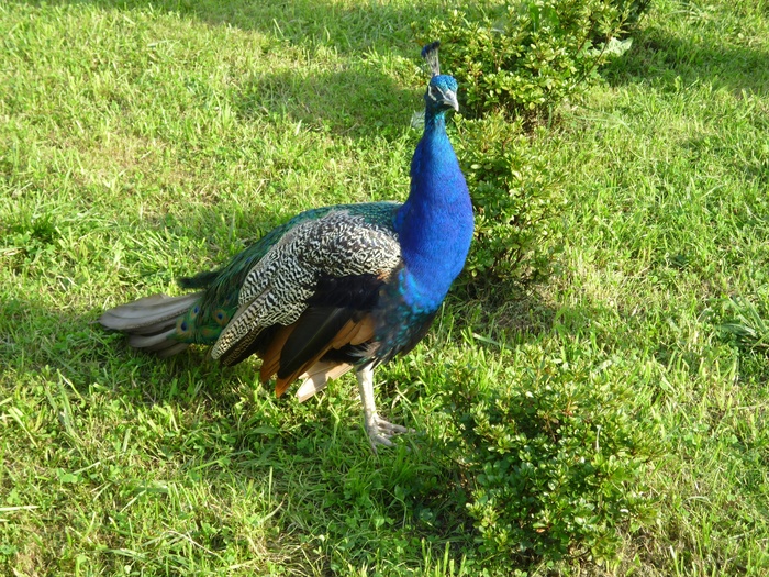    , ,   , ,  , , , , 