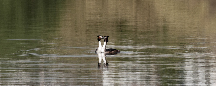 Любовь-кольцо...