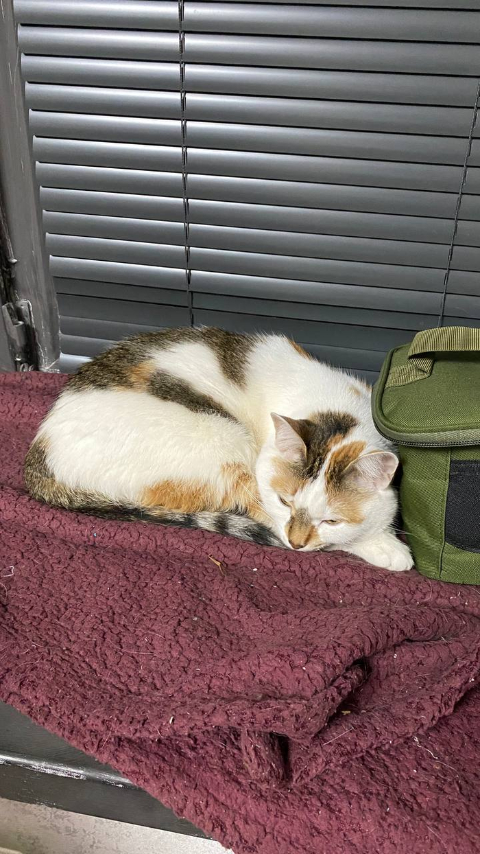 Иди туда, где страшно или каждое движение должно причинять боль