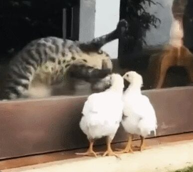    , , , 