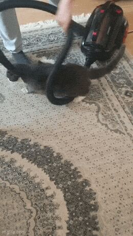   , , , 