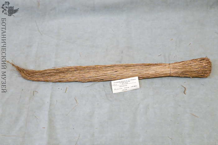 &nbsp;   . &nbsp;     .