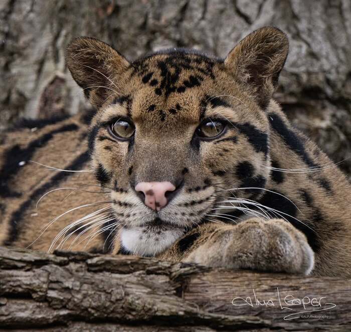 В размышлениях