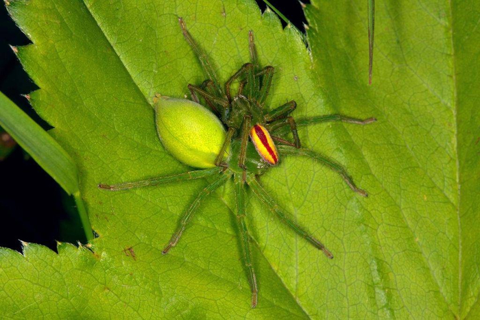  ,        .   ,     .