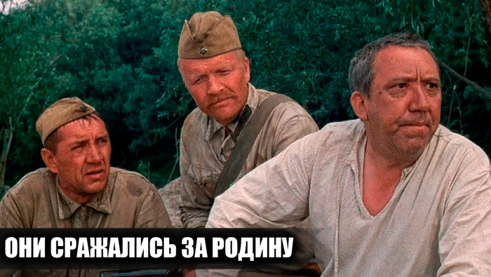     "   "   ,   , , ,  ,  ,  ,  ,  ,  ,   , ,  ,   (), 