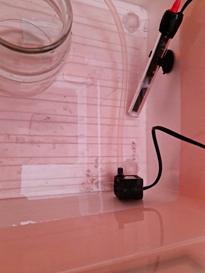 И аквариумный насос.