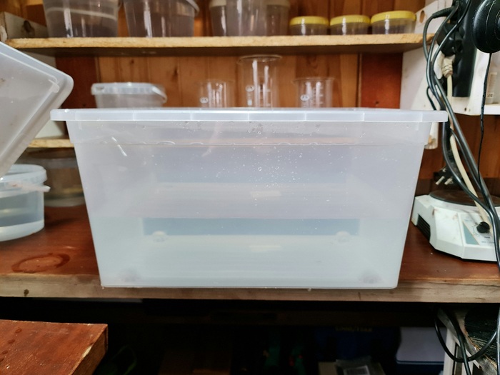 Пластиковый короб с водой