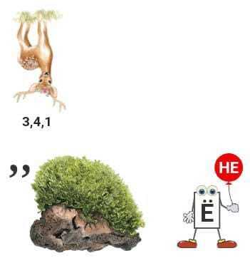  (3- ) , ,  , 