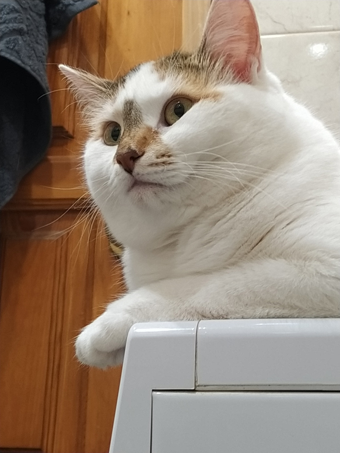 Блин, может, просто не читать комменты?..