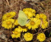 ����-�����