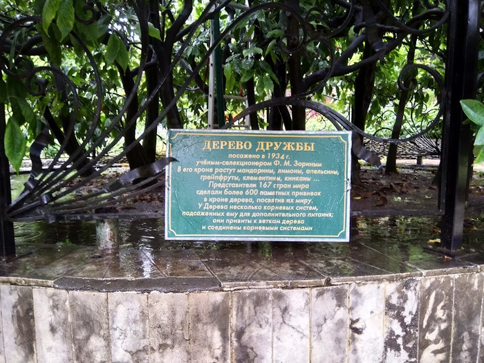 ������ ������