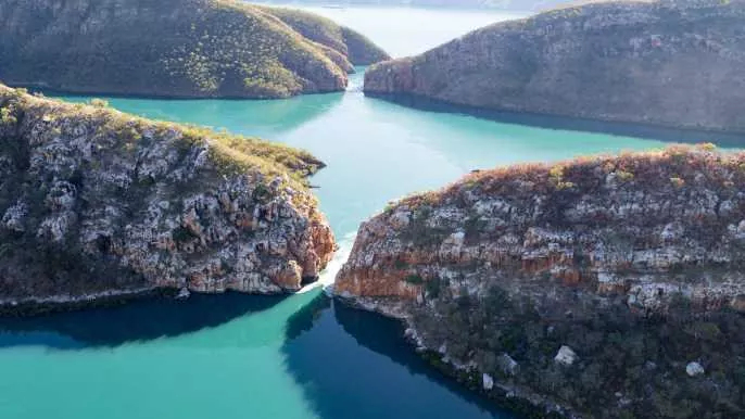 � ������� ����� ������ ��� ����� �� �������