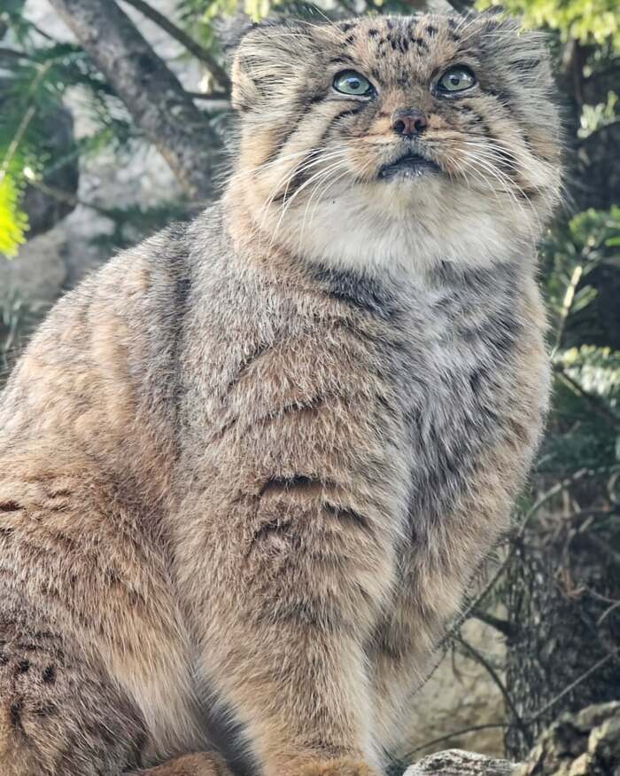 Целеустремлённый взгляд