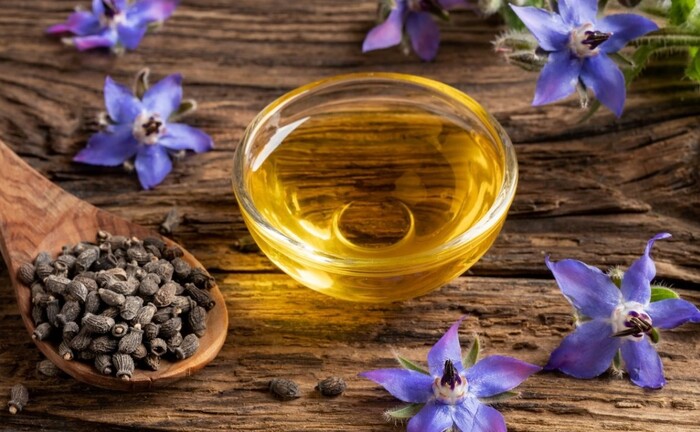 Масло бурачника широко используется как биологически активная добавка, а также в косметологии и дерматологии. Фото с сайта <!--noindex--><a href="https://pikabu.ru/story/lekarstvennyie_burachnik_12681475?u=http%3A%2F%2Fherbalsale.by&t=herbalsale.by&h=31529945096fb6183f53503db87403709084ea42" title="http://herbalsale.by" target="_blank" rel="nofollow noopener">herbalsale.by</a><!--/noindex-->.