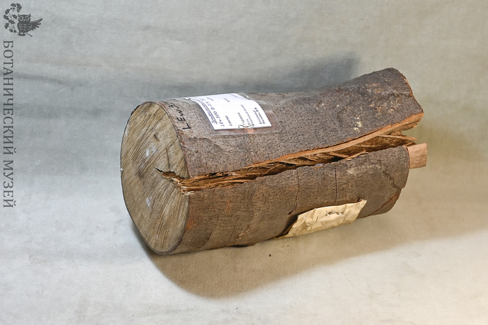    , ,   .  ..   1931.      .