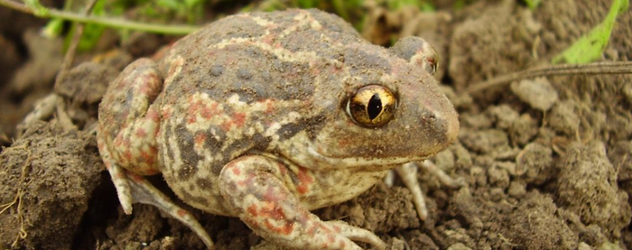         ,        .   ,       .