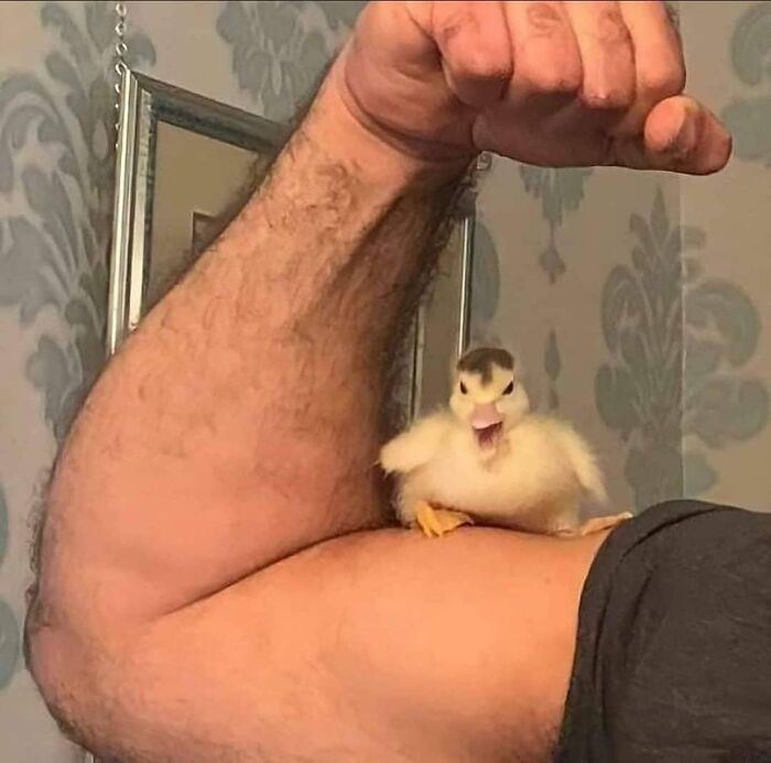 Так в чем же сила брат???