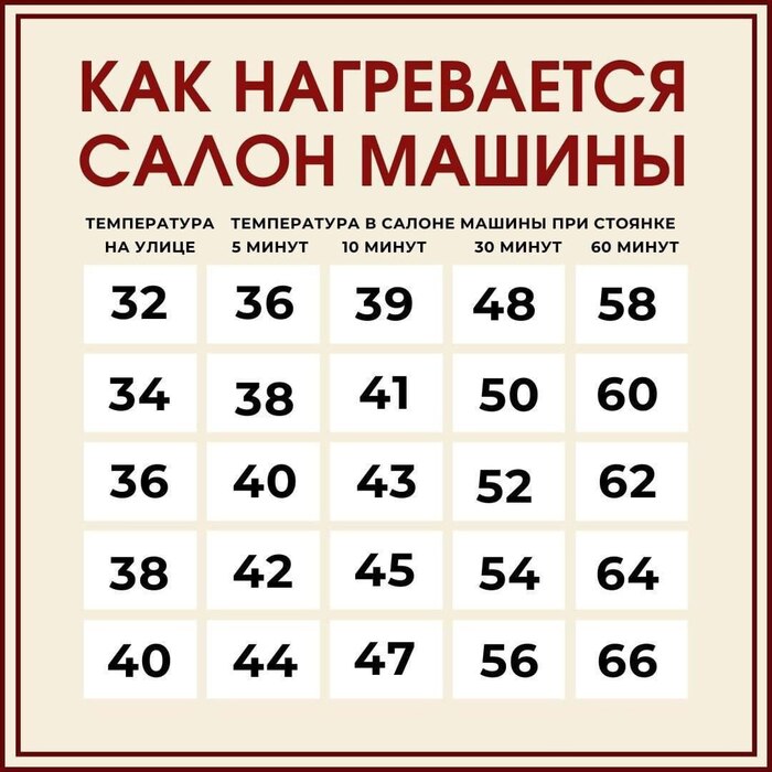 Вот почему летом нельзя оставлять в машине детей и животных