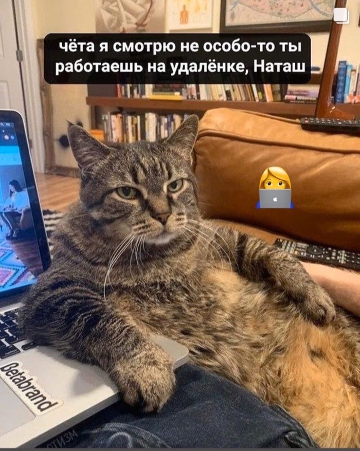 ,  ,   , , ,  